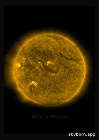 The Sun on 29 July 2016