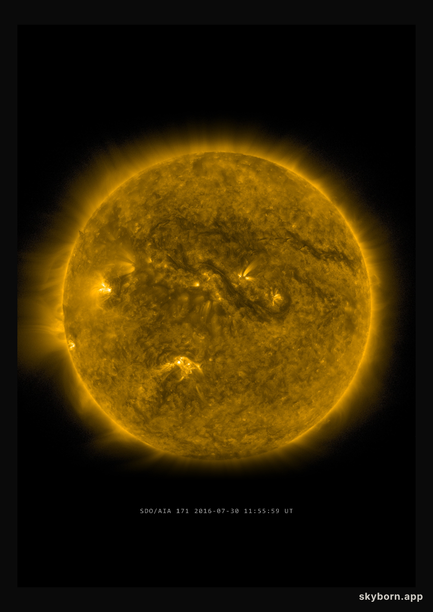 The Sun on 30 July 2016