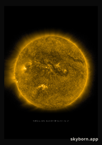 The Sun on 30 July 2016