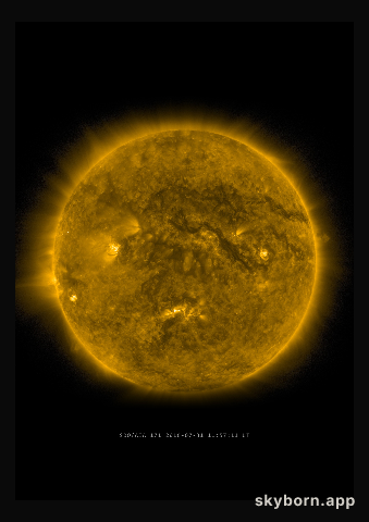 The Sun on 31 July 2016