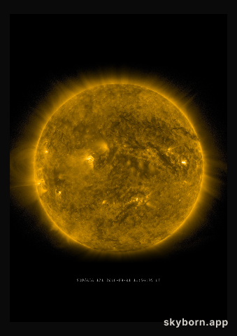 The Sun on 1 August 2016