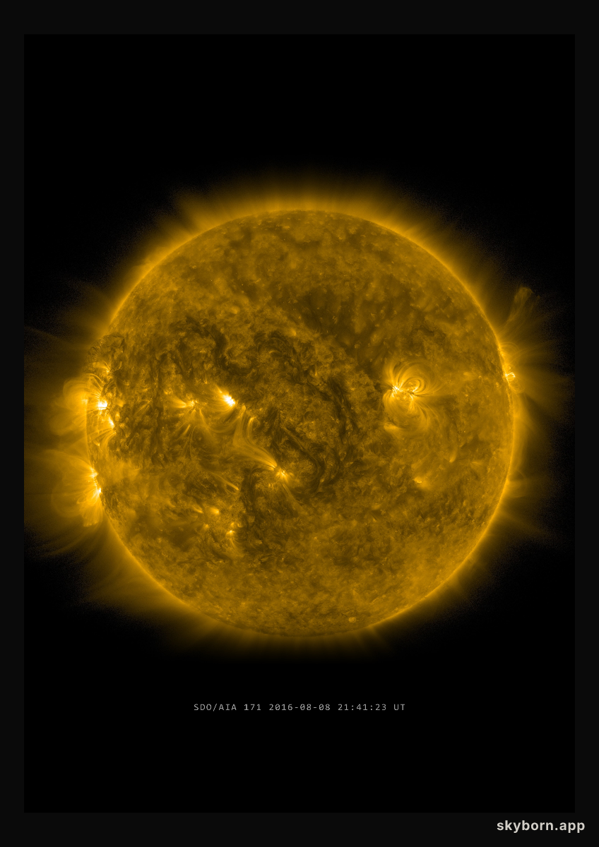 The Sun on 8 August 2016