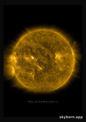 The Sun on 8 August 2016