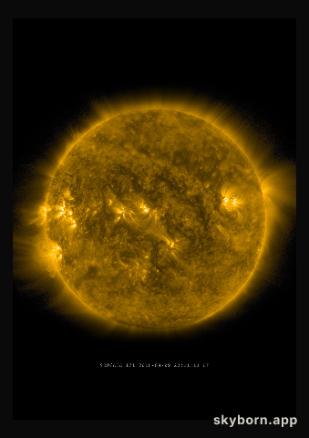 The Sun on 9 August 2016