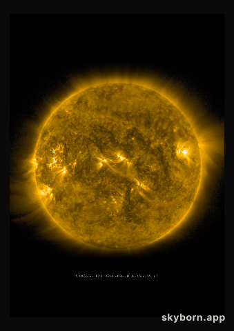 The Sun on 10 August 2016