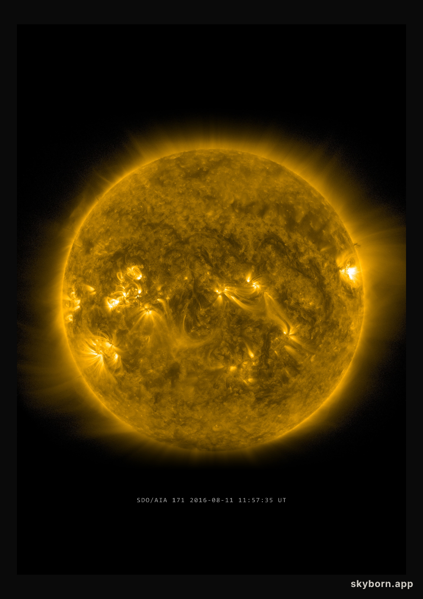 The Sun on 11 August 2016