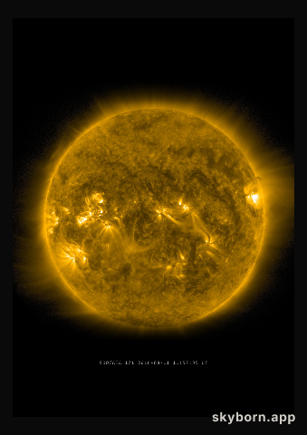 The Sun on 11 August 2016