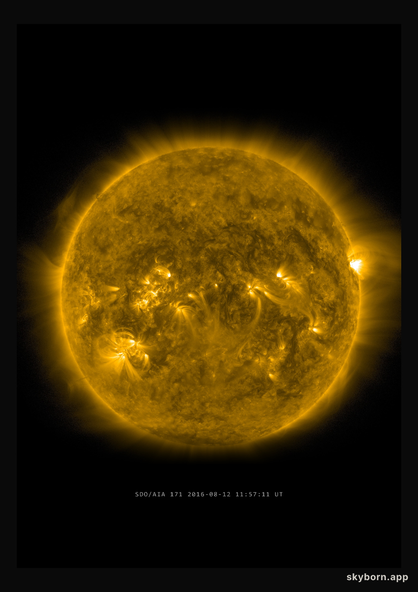 The Sun on 12 August 2016