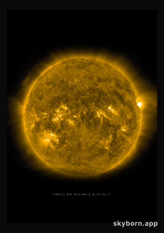 The Sun on 12 August 2016