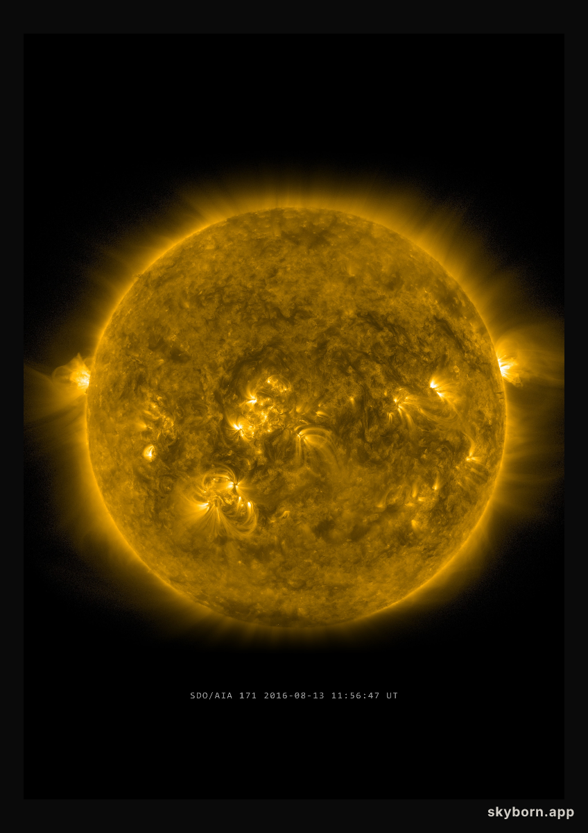 The Sun on 13 August 2016