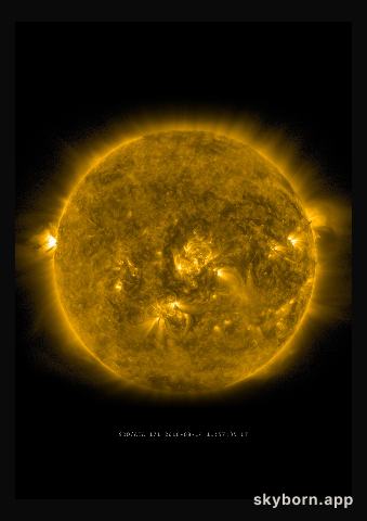 The Sun on 14 August 2016