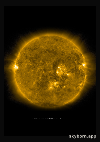 The Sun on 15 August 2016