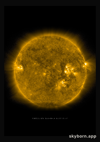 The Sun on 16 August 2016