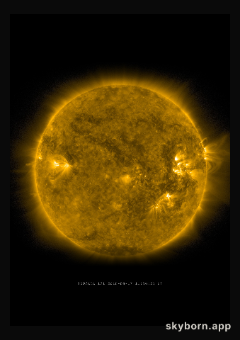 The Sun on 17 August 2016
