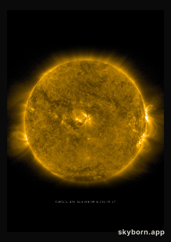 The Sun on 20 August 2016