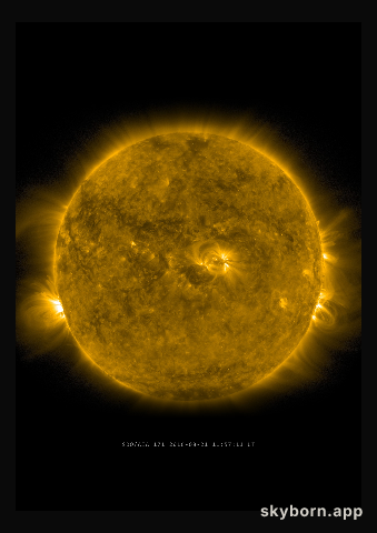 The Sun on 21 August 2016