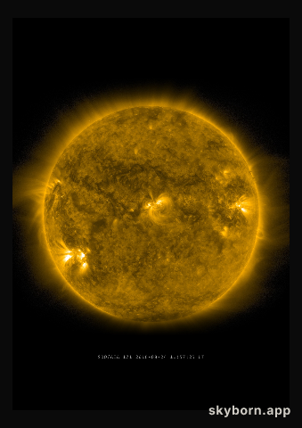The Sun on 24 August 2016