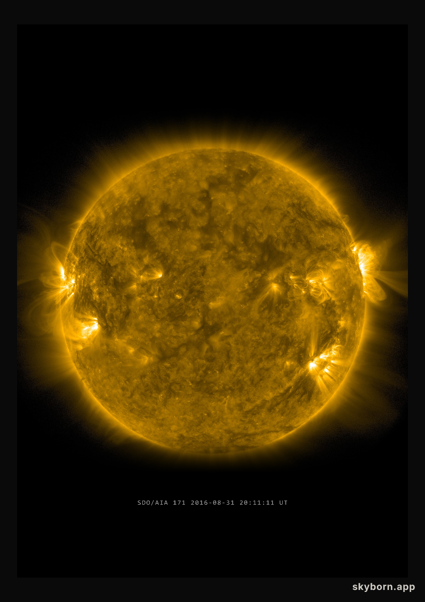 The Sun on 31 August 2016