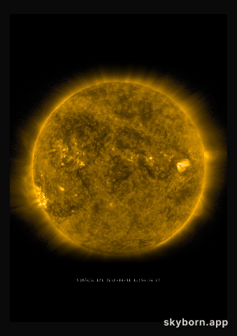 The Sun on 31 October 2016