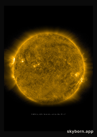 The Sun on 11 November 2016