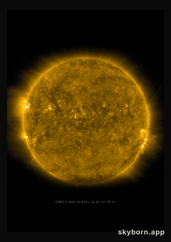 The Sun on 12 November 2016