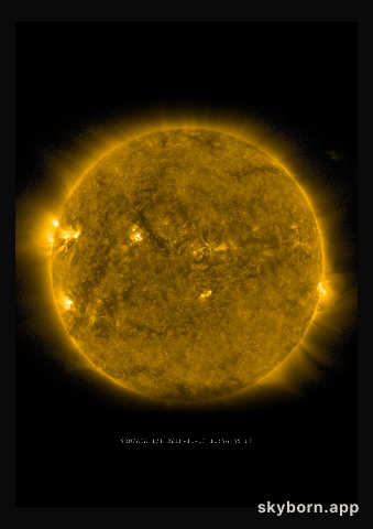 The Sun on 13 November 2016