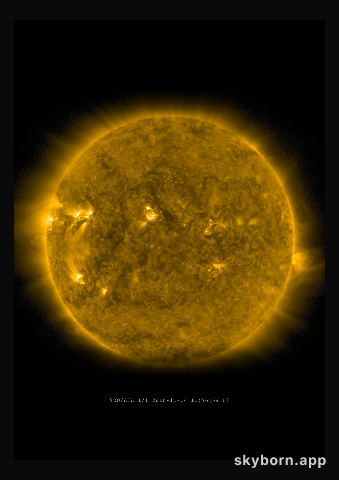 The Sun on 14 November 2016