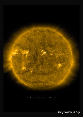 The Sun on 15 November 2016