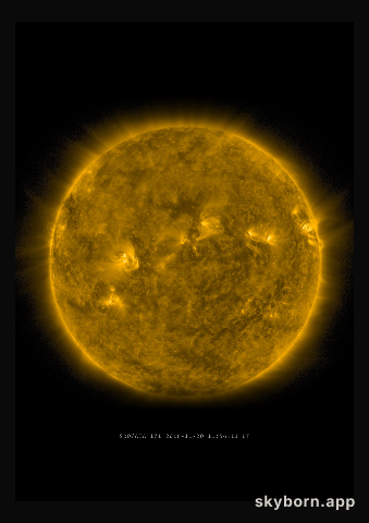 The Sun on 20 November 2016