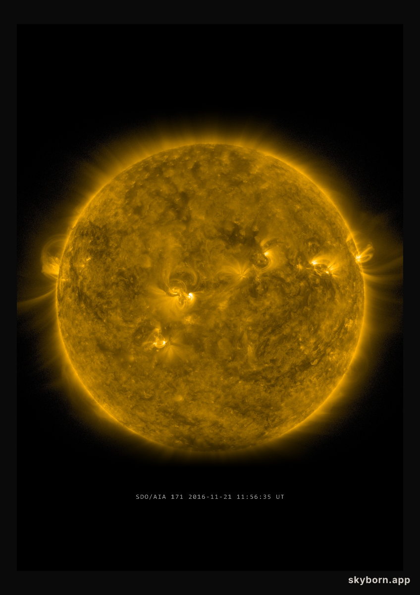 The Sun on 21 November 2016