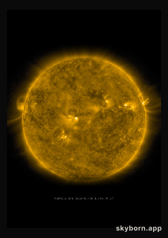 The Sun on 21 November 2016