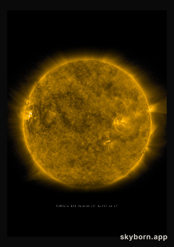 The Sun on 24 November 2016
