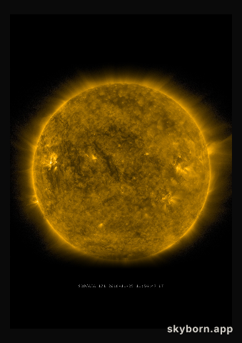 The Sun on 25 November 2016