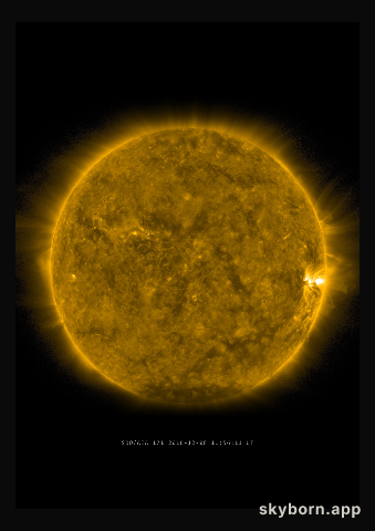 The Sun on 8 December 2016