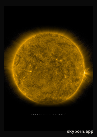 The Sun on 10 December 2016