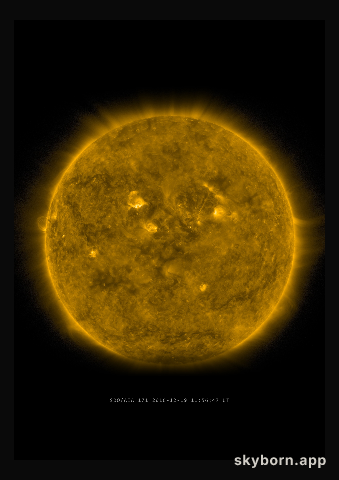 The Sun on 19 December 2016
