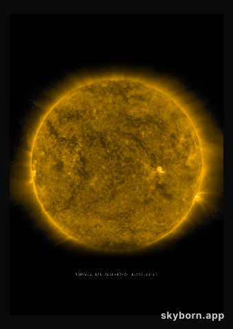 The Sun on 24 December 2016