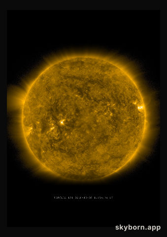 The Sun on 28 December 2016