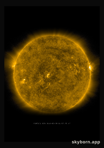 The Sun on 29 December 2016