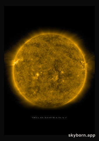 The Sun on 31 December 2016