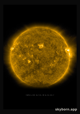 The Sun on 29 January 2017