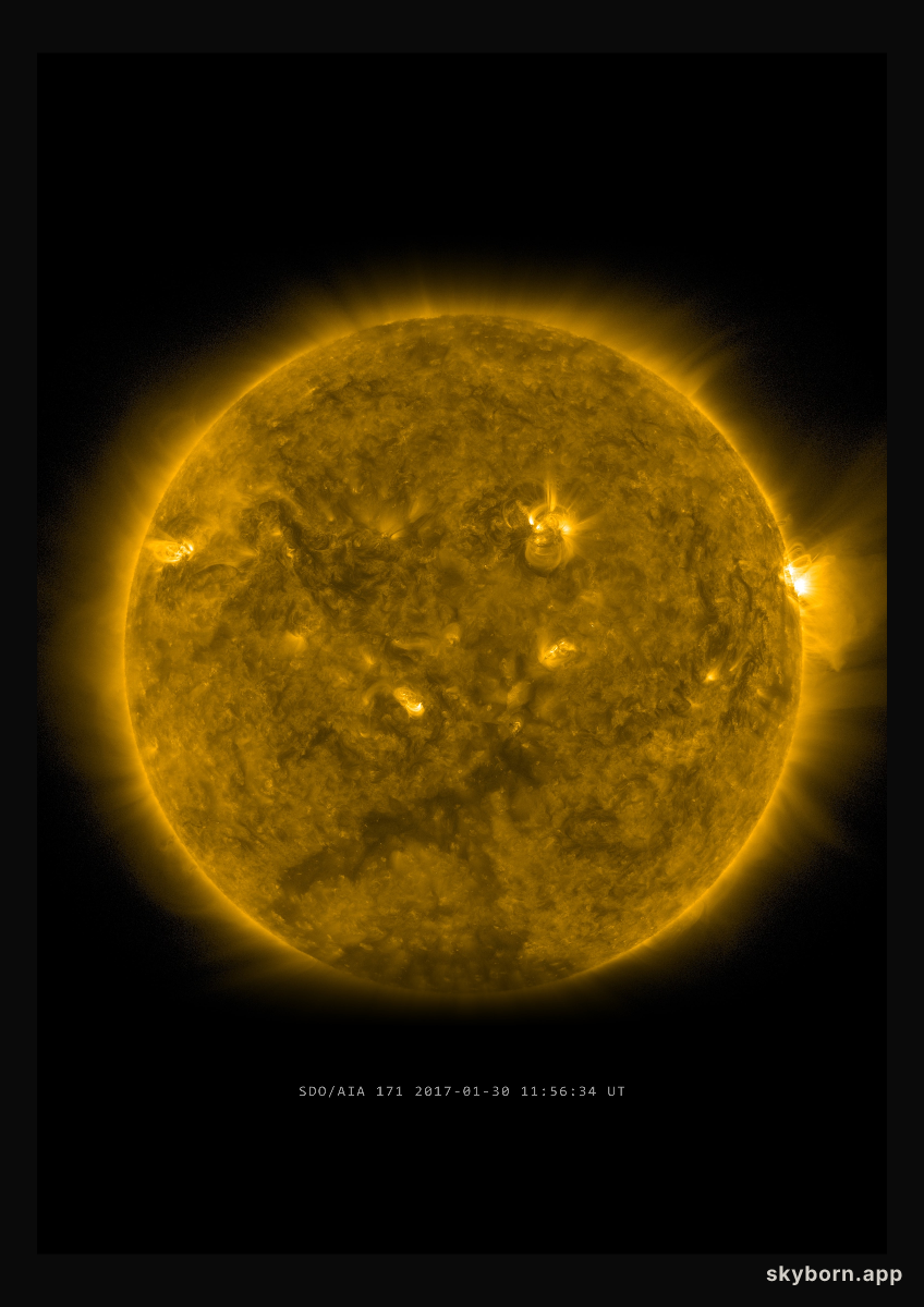 The Sun on 30 January 2017