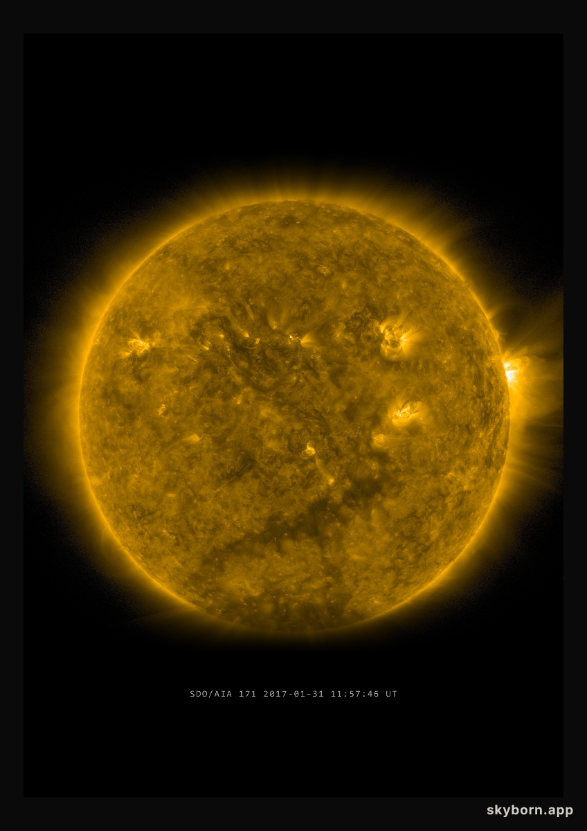 The Sun on 31 January 2017