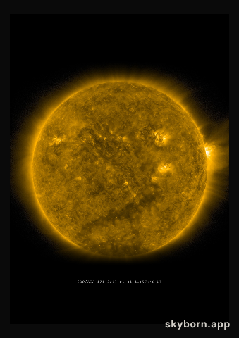 The Sun on 31 January 2017