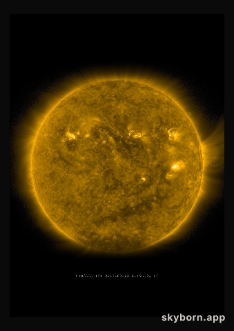 The Sun on 1 February 2017