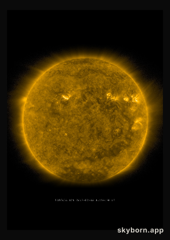 The Sun on 2 February 2017