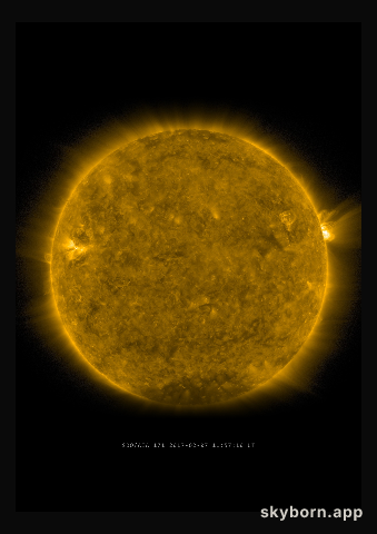 The Sun on 7 February 2017