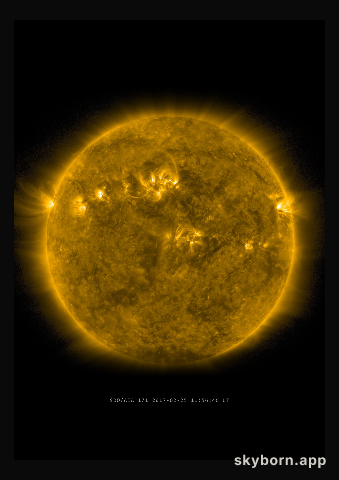 The Sun on 25 February 2017