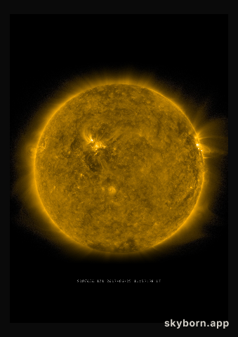 The Sun on 25 June 2017