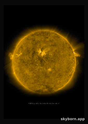 The Sun on 26 June 2017